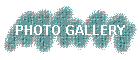 PHOTO GALLERY