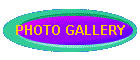 PHOTO GALLERY
